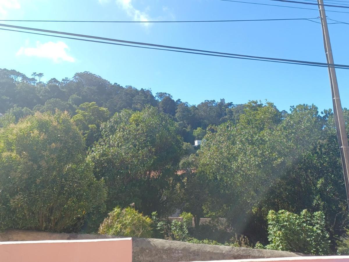 Casa Rosa Villa Sintra Ngoại thất bức ảnh